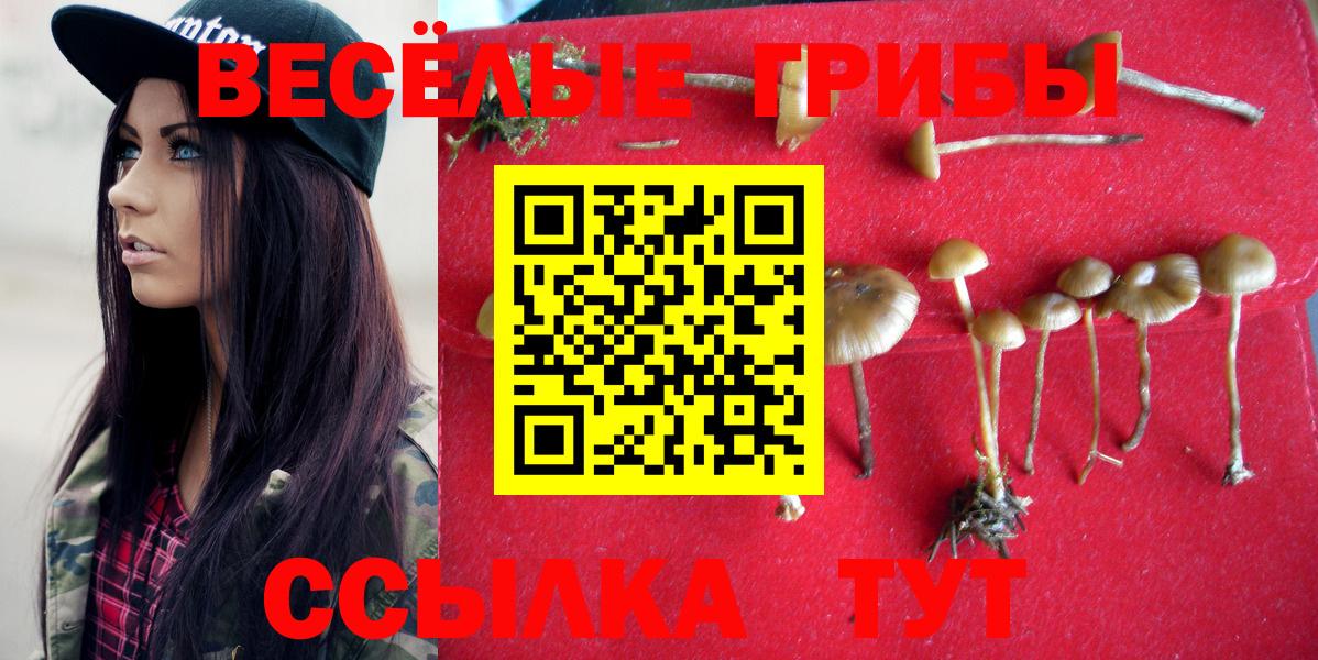 Псилоцибиновые грибы Magic Shrooms Новотроицк